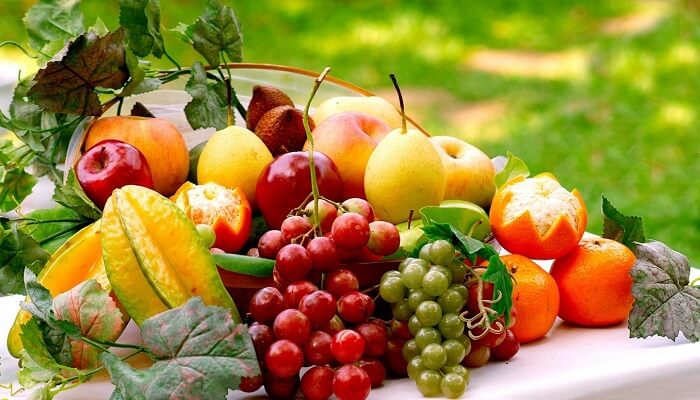Kỹ thuật trồng rau sạch trong chậu xốp tại nhà đơn giản