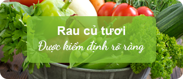 banner1